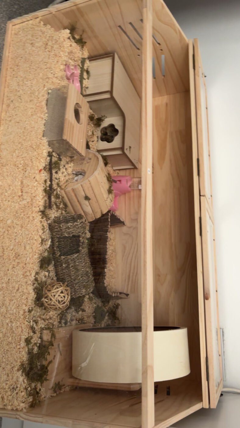 Hamster cage & items with it – Pet Sales UK