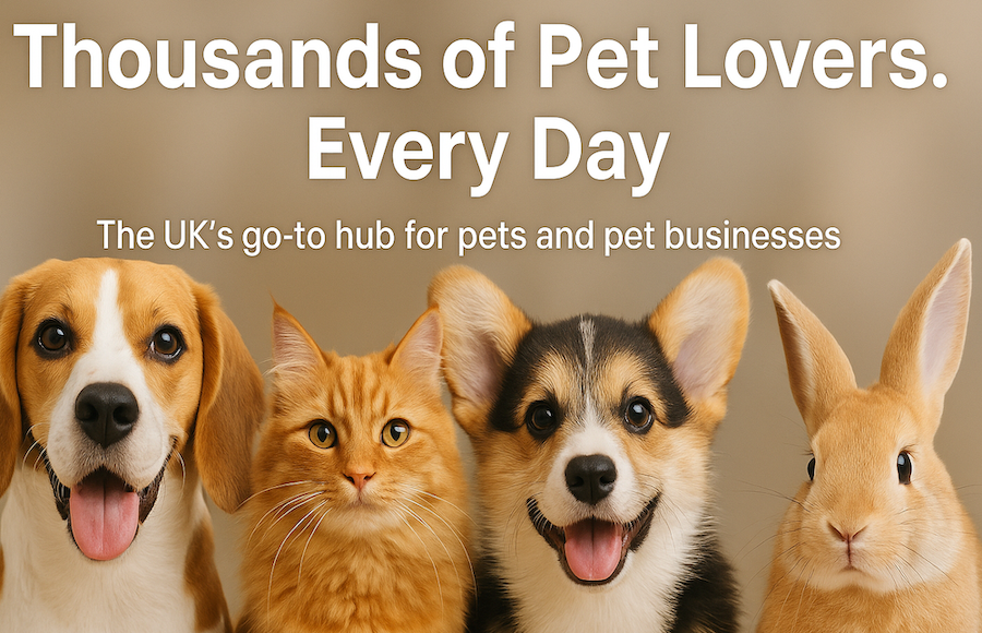 Why Smart Pet Businesses Are Advertising on PetSalesUK (and Why You Should Too)