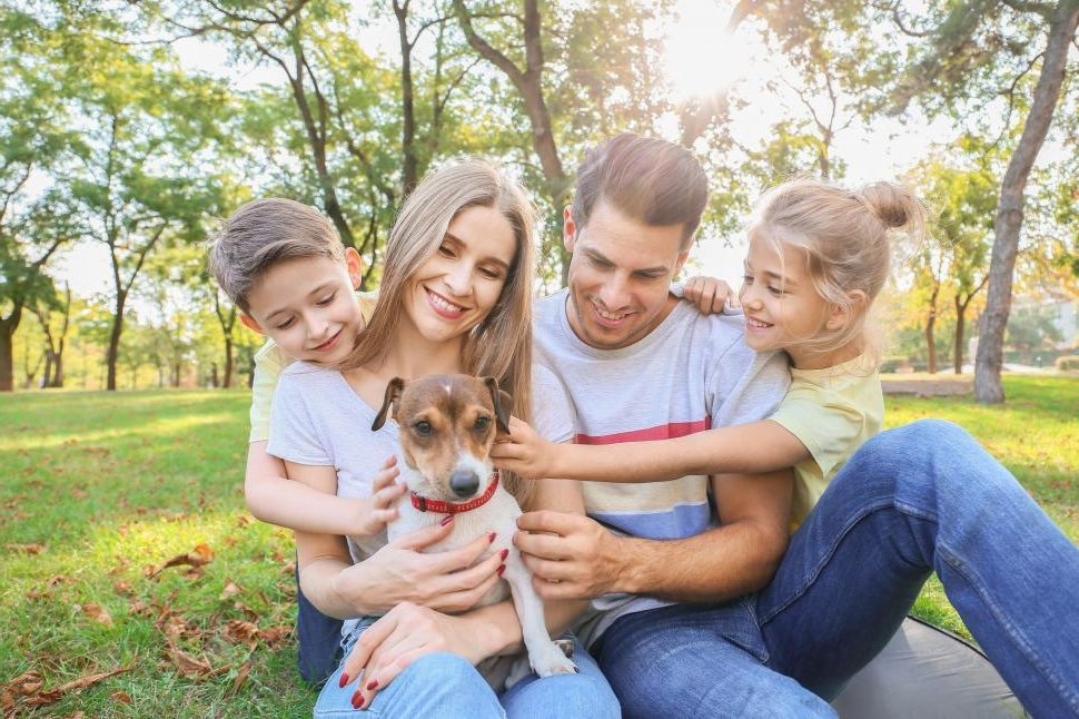 What Dog Is Right for Me Quiz