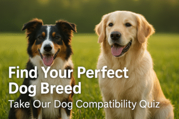 Which Dog Breed Is Right for Me