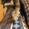 Boa constrictor needing a new home